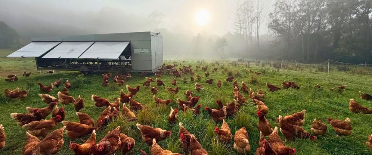 Feeding Time Cut by 40 Minutes Using UniBox